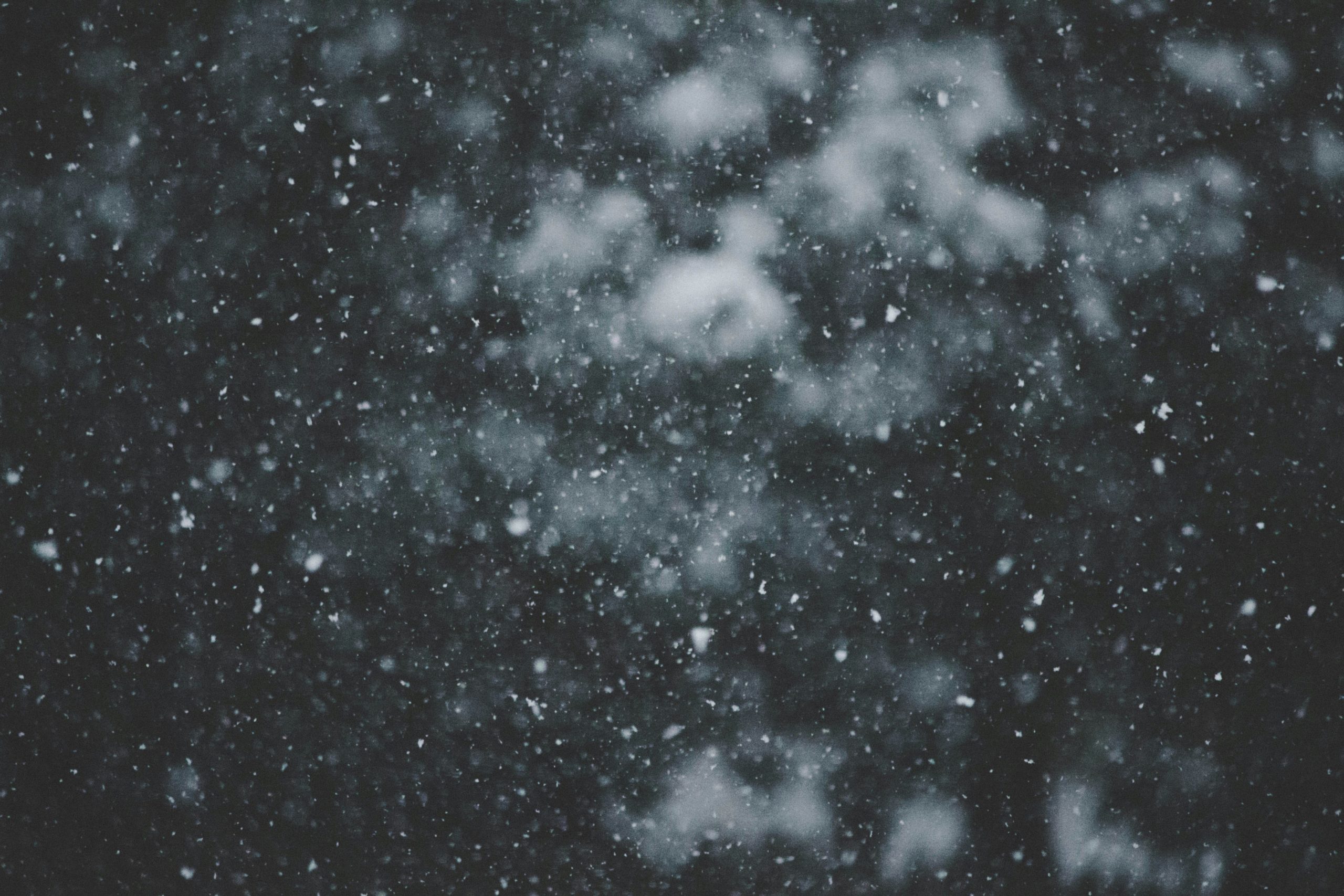 Snow falling against a dark night background