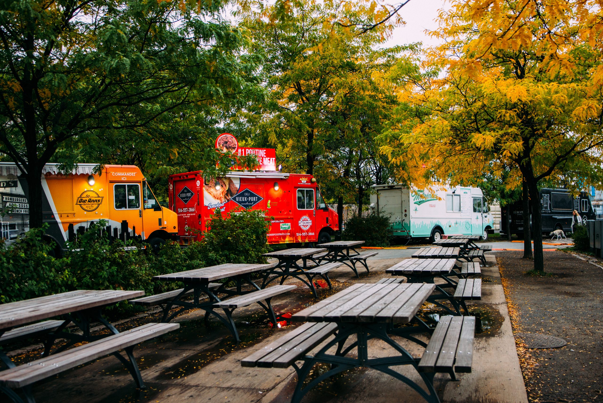 Picnic tables in a park with colorful food trucks parked among autumn trees