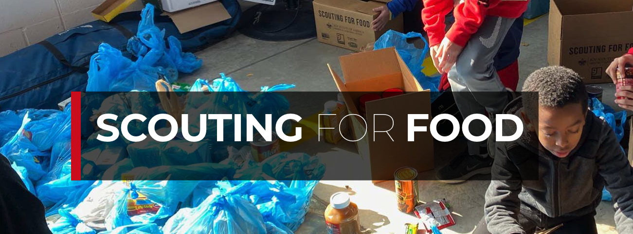 Scouting for Food: kids sorting bags of donated food